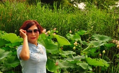 我的小后妈韩国中字